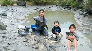 Вместе с сыном вылавливаем гигантских рыб из старого пруда и продаем их. Дуонг. Вьетнам