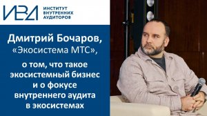 Что такое экосистемный бизнес. Фокус внутреннего аудита в экосистемах