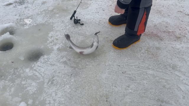 1000138687.mp4 смотреть онлайн