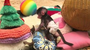 Николь уже может самостоятельно залезть мне на колени, если видит в руках бутылочку с кашей😂