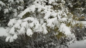 Какая она, зима на юге Ростовской области?