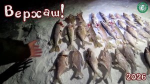 ВЕРХАШ 2026, КРУПНЫЙ ОКУНЬ, ЛЕЩ, ЧЕБАК НА УДОЧКИ! ЩУКА И СУДАК НА ЖЕРЛИЦЫ, РЫБАЛКА В КАЗАХСТАНЕ!