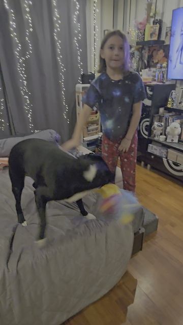 Кто-то очень ждал лошадку 2 часть