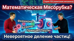 155. Математическая мясорубка выдала глобальное деление частиц. Принцип Паули, Фермионы и Бозоны.