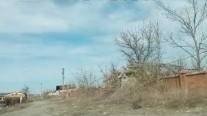 Геноцид, не, это другое!!!