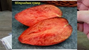 Обзор интересных сортов томатов на новый сезон 2026 .Красивые, редкие и вкусные👍☺️