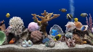 Аквариум, рыбки,нежная мелодия для отдыха и сна