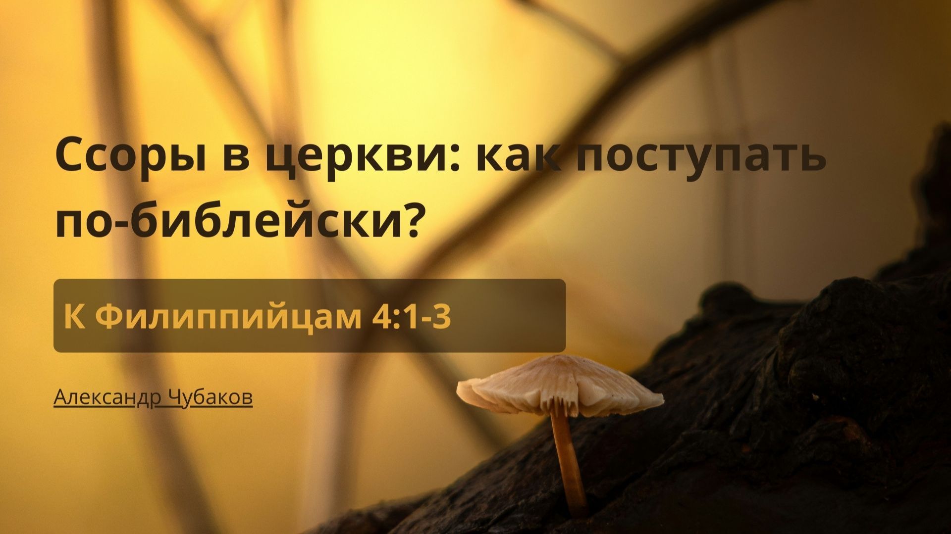 Проповеди |  Послание к Филиппийцам