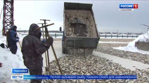 "Вести. Сахалин. Курилы". 14 января 2026 года