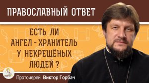 Есть ли ангел - хранитель у некрещёных людей ?  Протоиерей Виктор Горбач