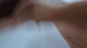 все мои персы