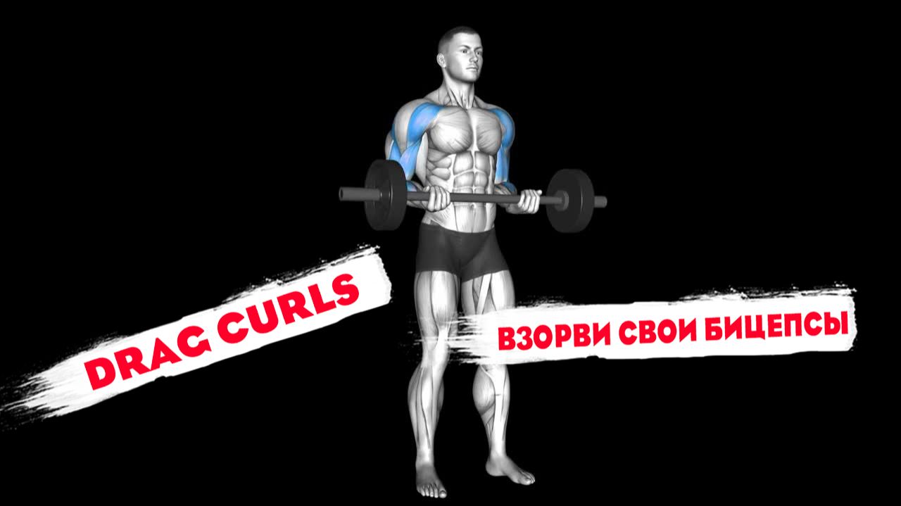 Подъёмы Жиронды (drag Curls) на бицепс. Как накачать бицепсы не только банальными упражнениями