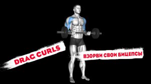 Подъёмы Жиронды (drag curls) на бицепс. Как накачать бицепсы не только банальными упражнениями
