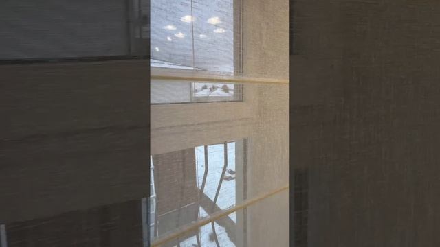 Светлогорск квартира .mp4