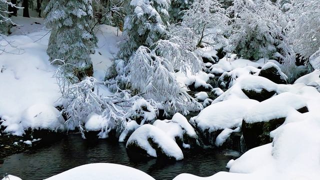 Невероятная зимняя природа. Видео в формате 4k.