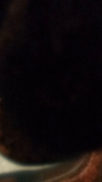 как мой котик кушает из миски смотреть онлайн