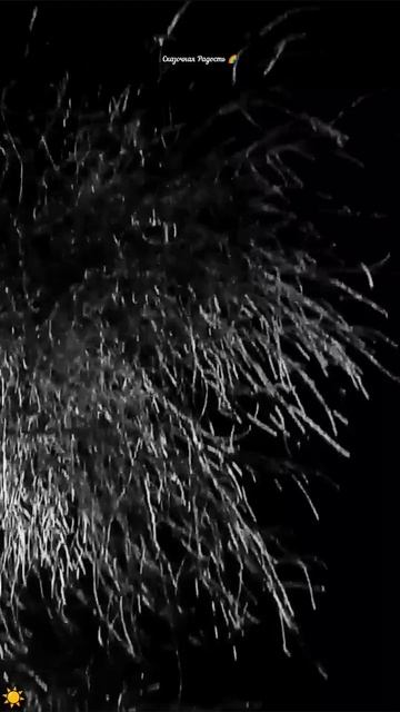 #моя #любимая #берёзка #серебро #красиво #зима2026год #волшебно #событиедня #любимое #15число #15янв смотреть онлайн