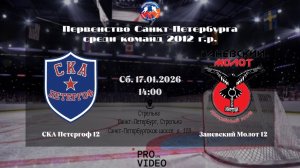 ХК "СКА Петергоф" 12 - ХК "Заневский Молот" 12 | 17.01.2026