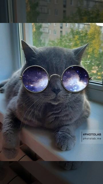 в память о Бони