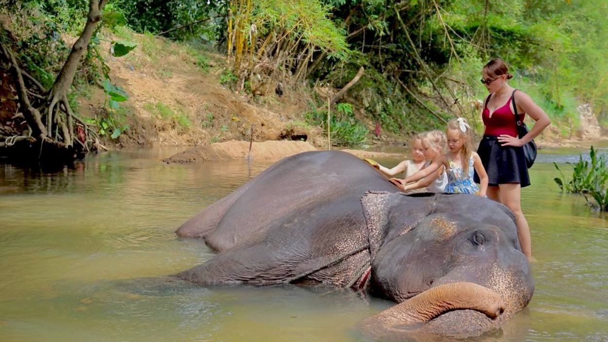 Маленькие дочки и слоны: самый добрый день в Шри-Ланке смотреть онлайн