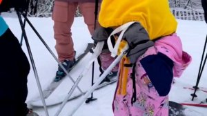 Будем жить в любое время года