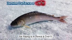 Зимняя Рыбалка на Хариуса и Ленка 2026!!!