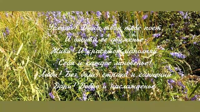 Вдохни... стихи для души смотреть онлайн