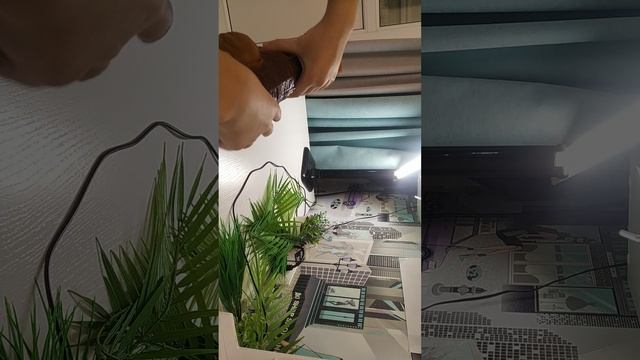 обзор на Т-Рекса Mattel