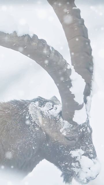 Горная вершина