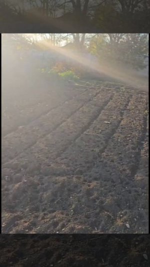 Дом с. Дмитровка