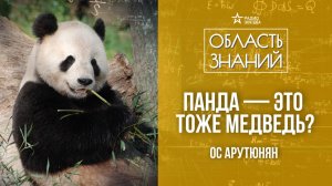 Медведи и их берлоги. Лекция научного журналиста Оса Арутюняна