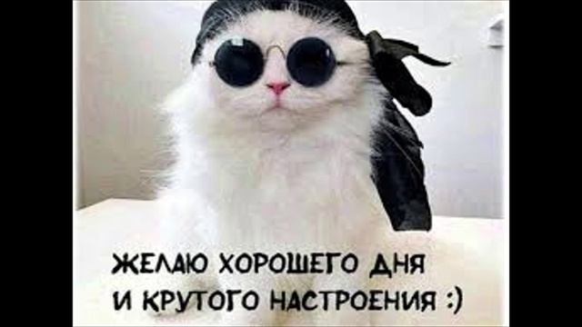 Разговоры с коллекторами 110 смотреть онлайн