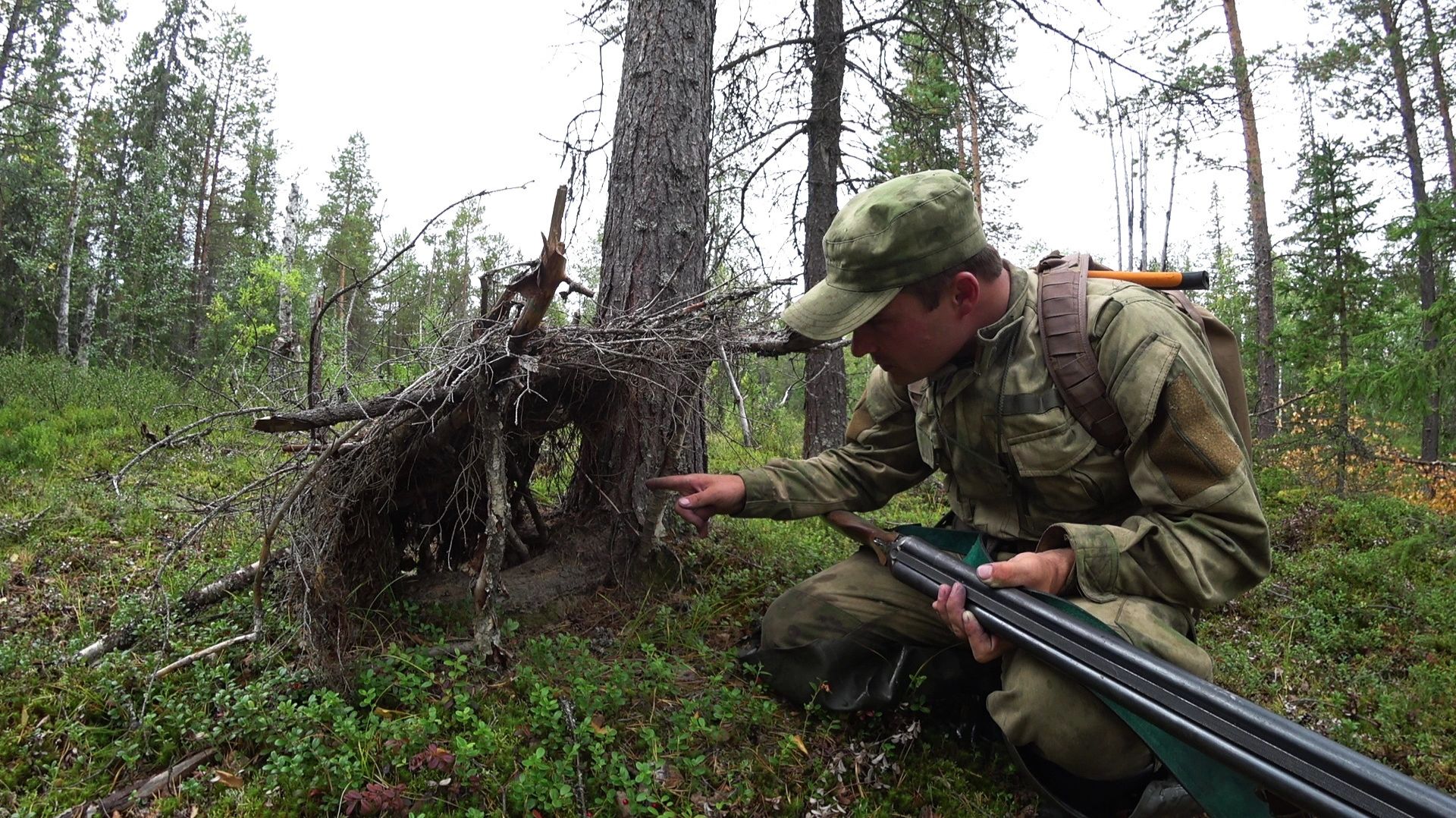 Тайга. Рассказы егеря о таежных лесах. смотреть онлайн