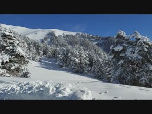 Катание на горных лыжах по склонам Архыза