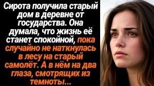 Жизненные Истории/Сирота случайно наткнулась в лесу на старый самолёт, а в нём