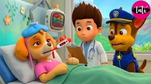 Щенячий патруль и Маршалл. Залипательное видео. Мультфильм для детей и малышей. Анимация 60