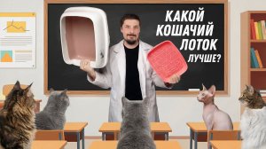 С решеткой или без? Какой кошачий лоток лучше?