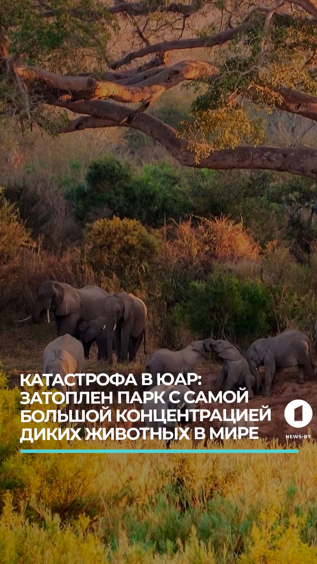 Природные катастрофы в ЮАР: пожары и наводнения одновременно смотреть онлайн