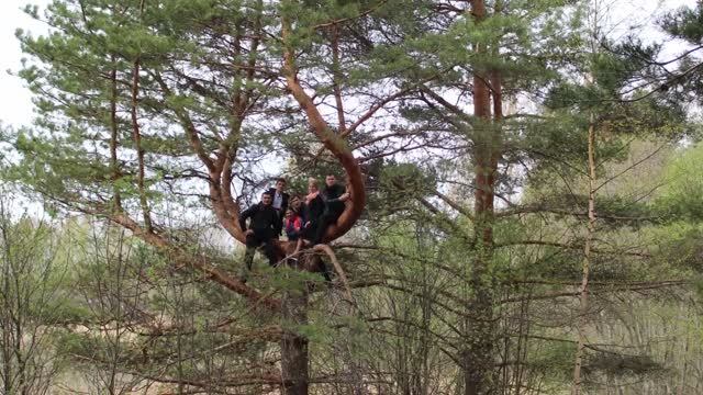 ОСТРОВ / Зосимовская Ворбозомская Благовещенская пустынь смотреть онлайн