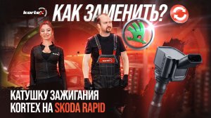 Как заменить катушки зажигания на Skoda Rapid?