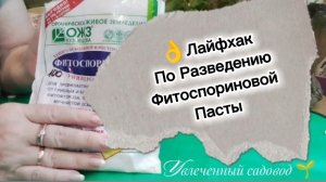 Фитоспорин М паста:важные моменты при разведении