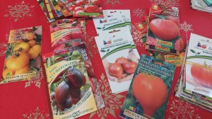 Томаты. Готовим семена на новый сезон