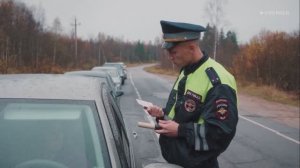 Мухтар. Он вернулся