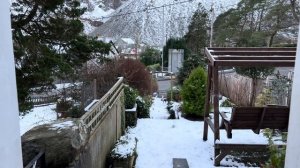 291. Робин с дочкой и Люси у нас в гостях. Не верю своим глазам, у них это получилось!