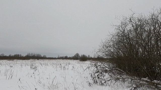 Охота с Добычем. 15.01.2026. Русак. смотреть онлайн