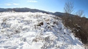 река Чистая Южная и гора Невеб 01.26