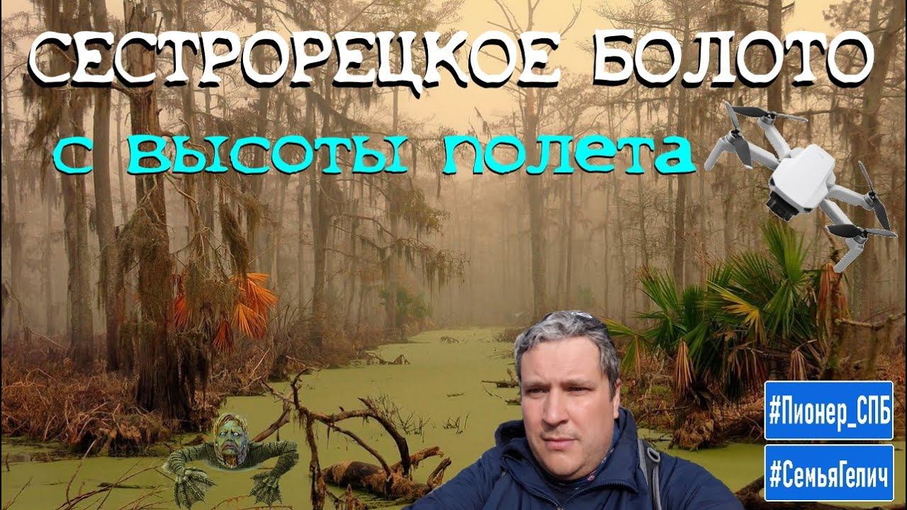 Сестрорецкое болото с высоты полета квадрокоптера. Красивые места Ленинградской области. #СемьяГелич