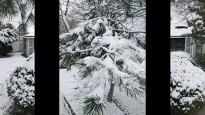 Анапа 16.01.2026 ✅📌 📍