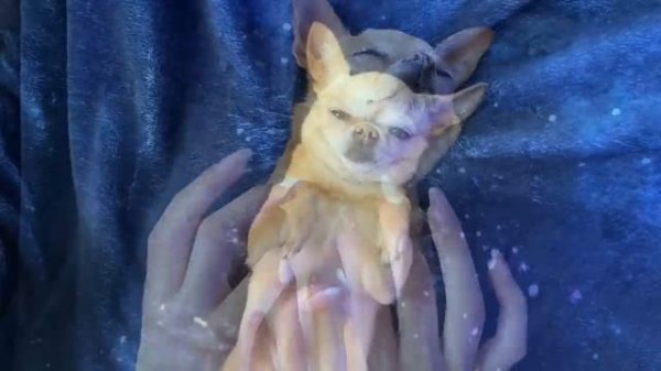 ASMR Mouth Sound for you