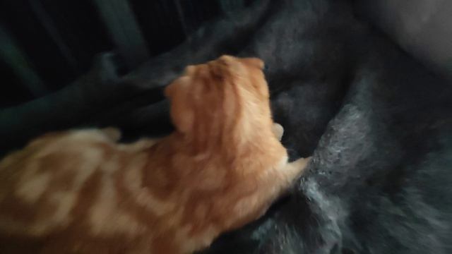 утеплились смотреть онлайн